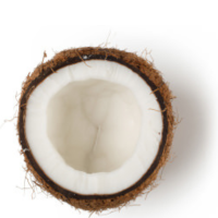 coconut / noix de coco